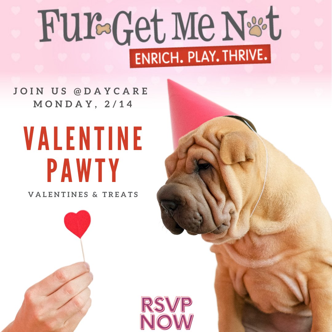 We love a good excuse for a party!  Join us Monday, February 14 at daycare for a Valentine's Pawty.  Everyone goes home with a hand-made valentine and treats. #bemine #bemyvalentine #happyvalentinesday
#furgetmenot #arlingtonva