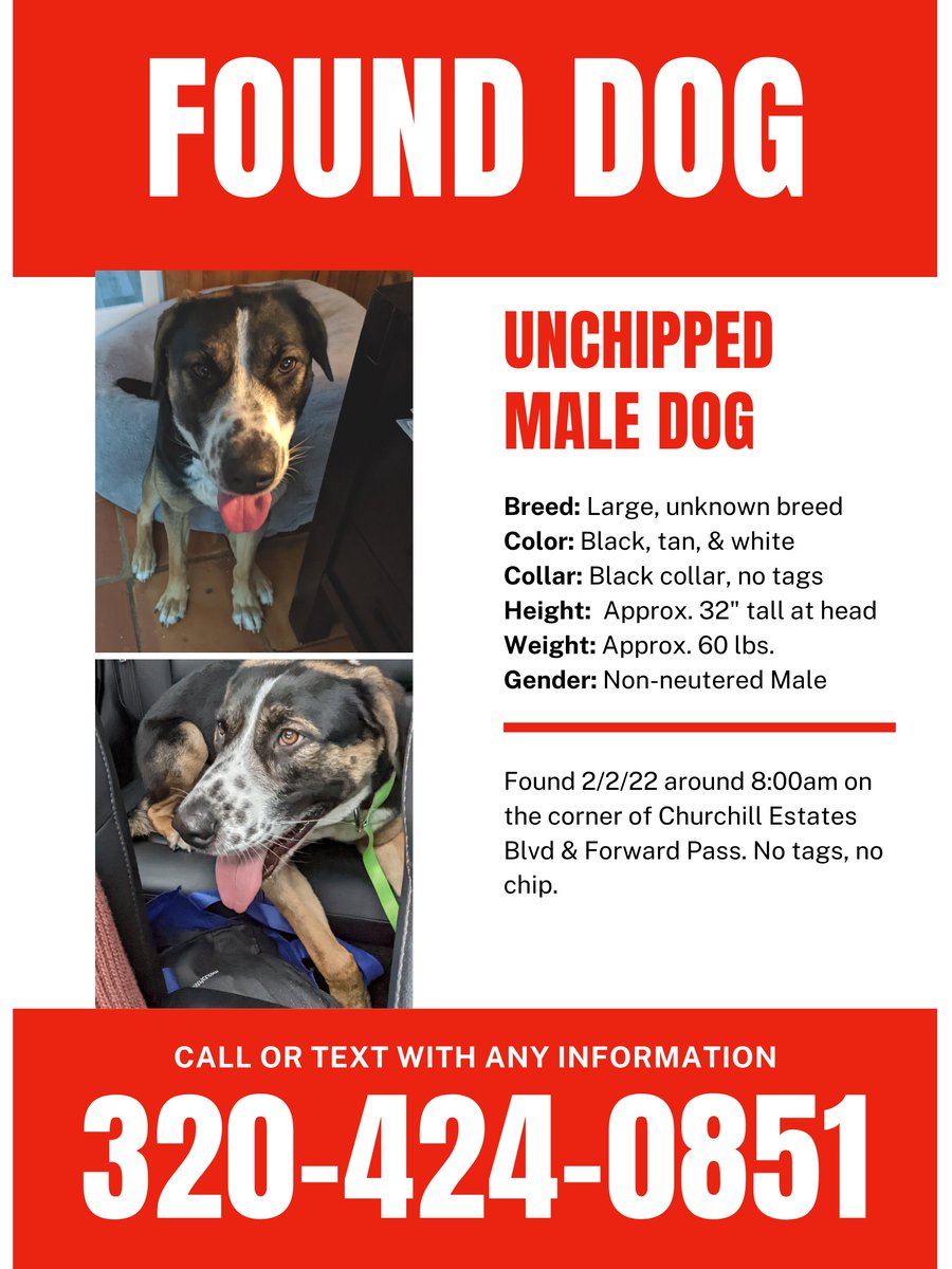 Do you know this dog? #FoundDog #SanAntonio #LostDog