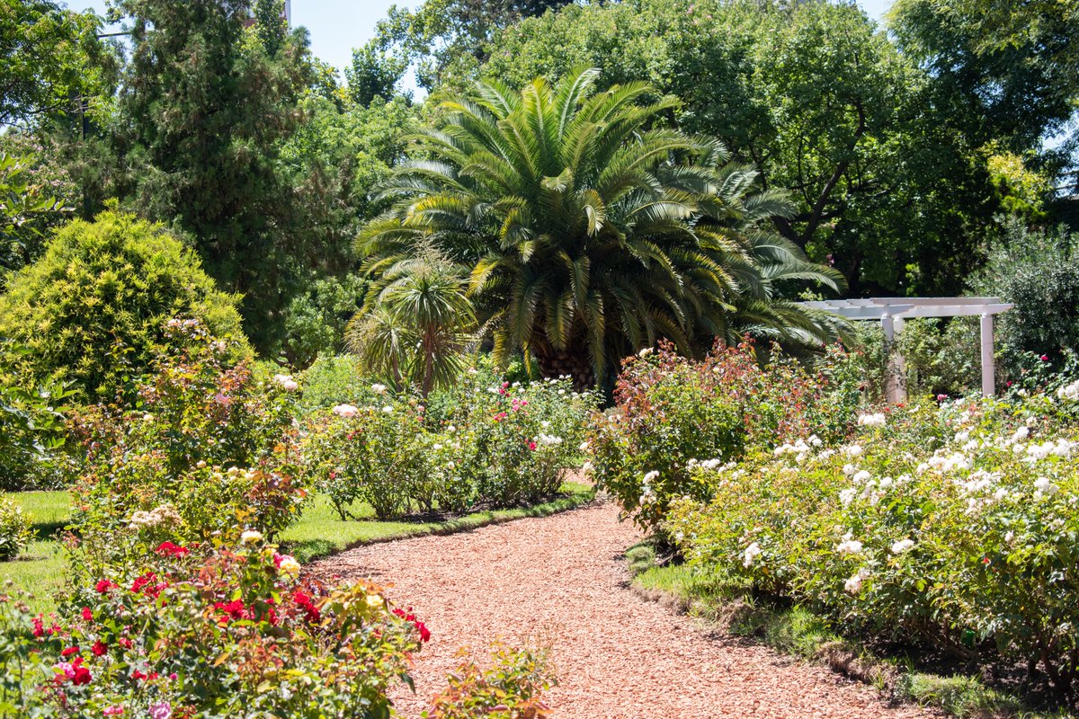 Comuna 7 tweet media