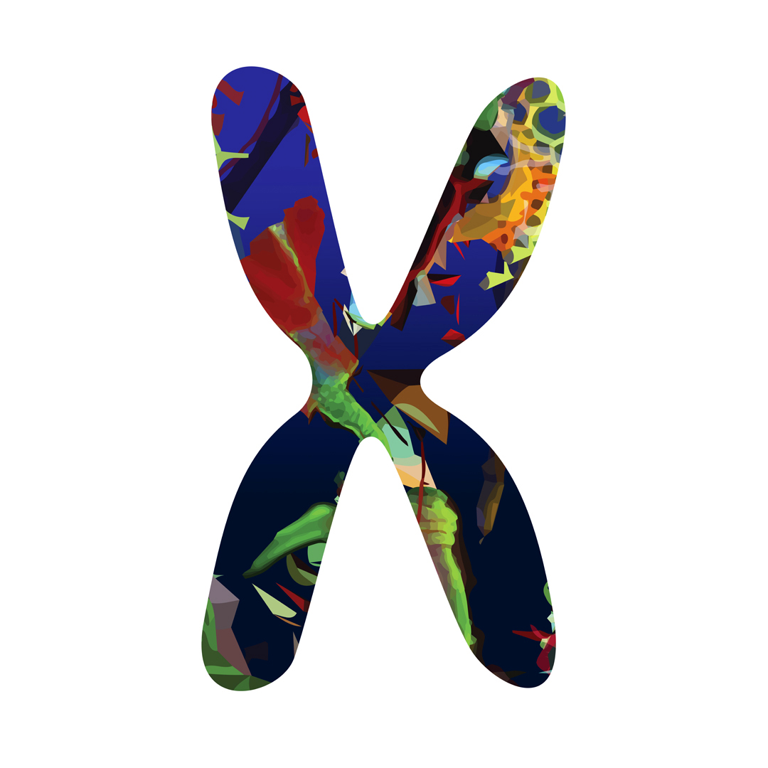 phenochroma's tweet photo. Phenochroma #94

#singular #evolution #life #love #together #art #artgram #inprogress #science #unique #unity #oneofakind #visual #color #colors #print #printdesign #collection @Collections_NFT #collectible #artcollector #nft #nftcollector #nftfrance https://t.co/RkrA3j4GxX