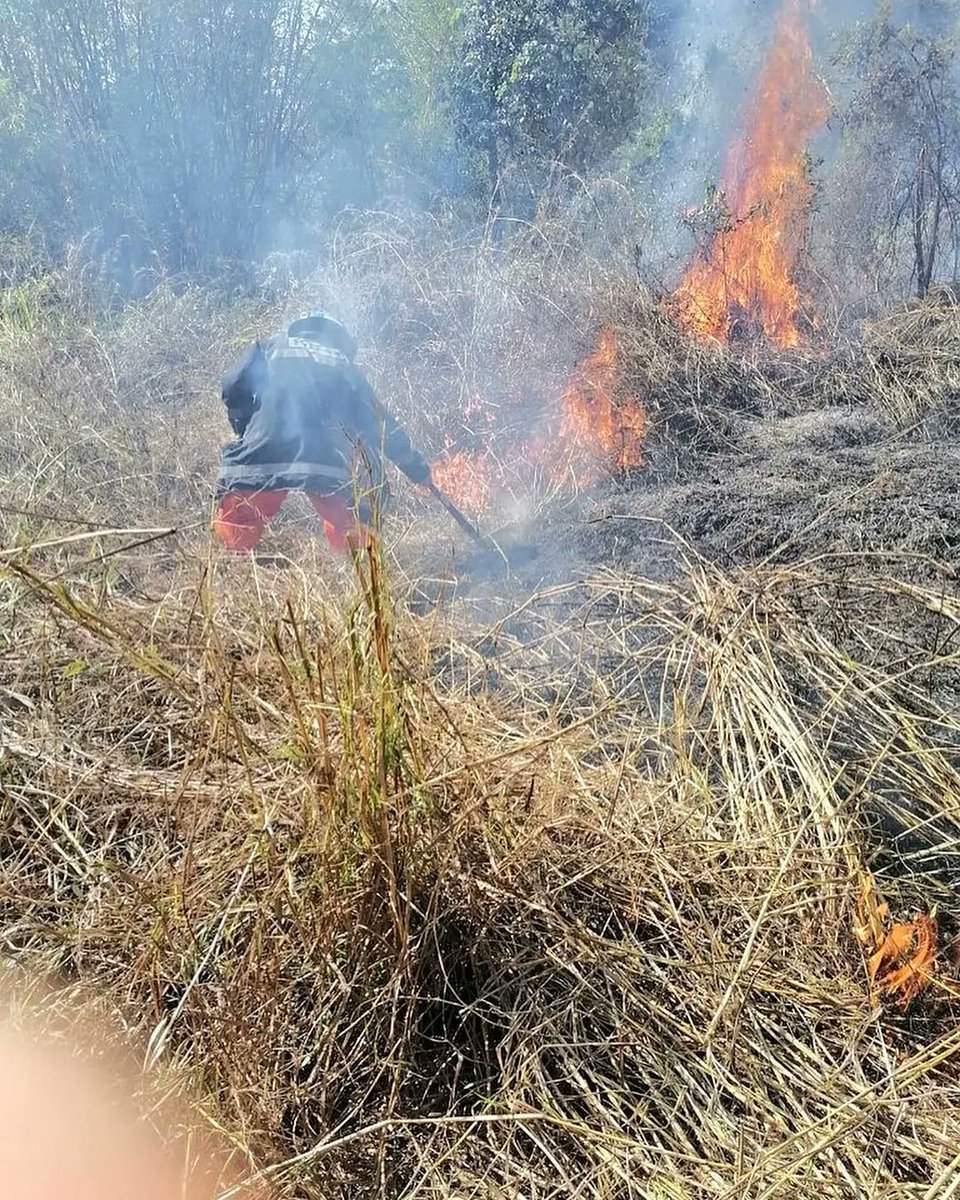 lalupacol's tweet photo. Bomberos informan que sofocaron incendio en maleza seca en el sector del kilómetro 45 de la carretera Panamericana, jurisdicción del municipio de Santo Domingo, San Vicente. https://t.co/oeoDHz0e0G