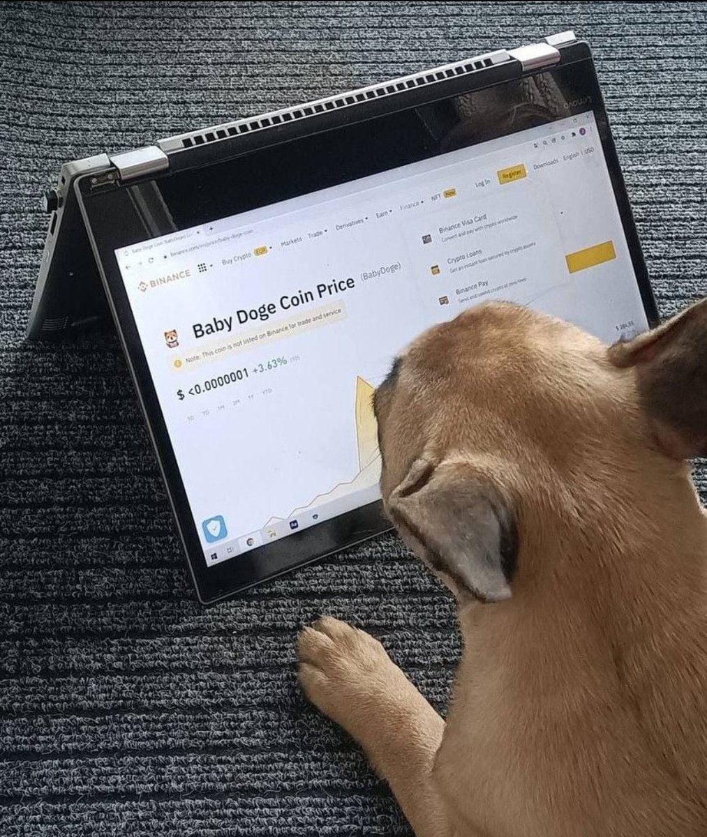 Fransil39123482's tweet photo. #BabyDoge #BabyDogeArmyBR #BSC #BTC #BabyDogeArmy #BabyDogeCoin @babydoge https://t.co/0nALuPQLcn