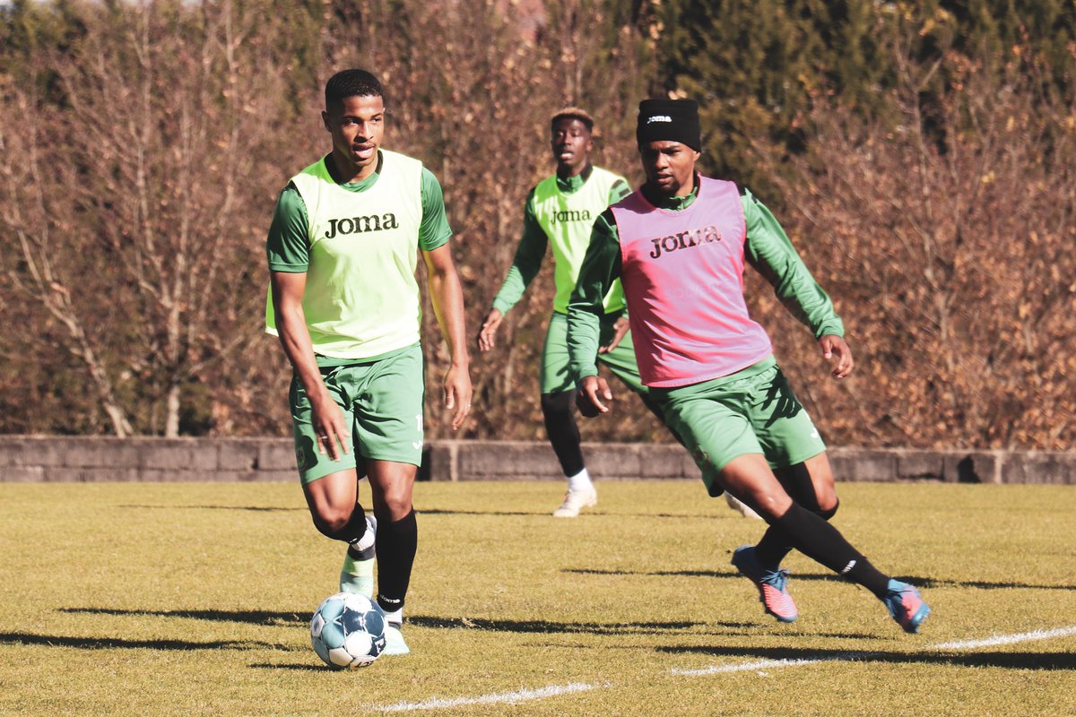 fcpf's tweet photo. Novos 𝘤𝘢𝘴𝘵𝘰𝘳𝘦𝘴 ao serviço. 💪

#DefendeOAmarelo https://t.co/vWrFHNBcyr