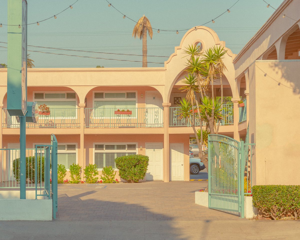 inthemeadow's tweet image. a walk around the neighborhood