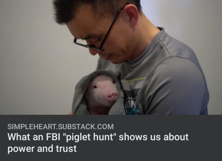 waynehhsiung's tweet photo. In the summer of 2017, I was part of an investigative team that released a first-of-its-kind investigation of the largest pig farm in the nation. The investigation was notable not only because it documented violations of the company’s own policies...
Read:
https://t.co/B9QLkMp2PI https://t.co/yc1RJonRAt