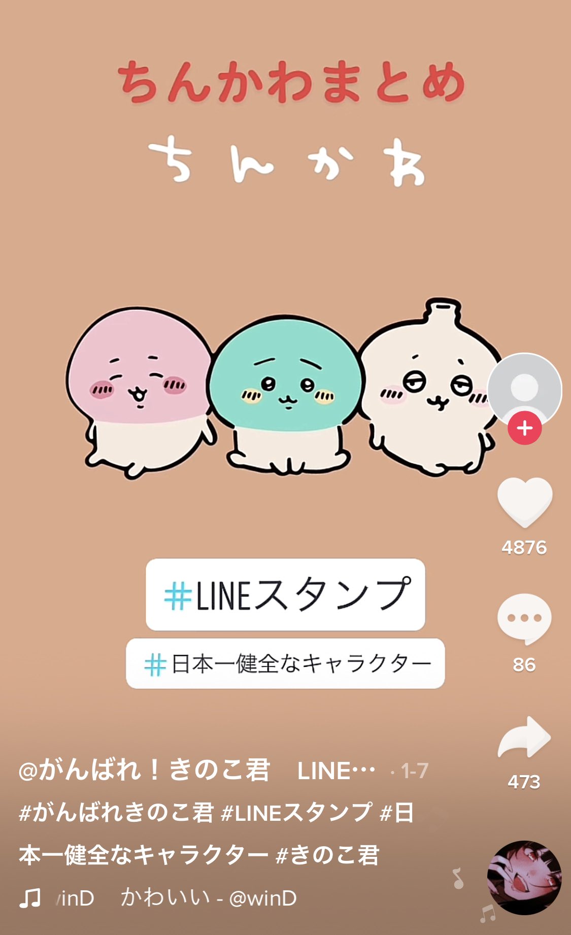 ちんかわ