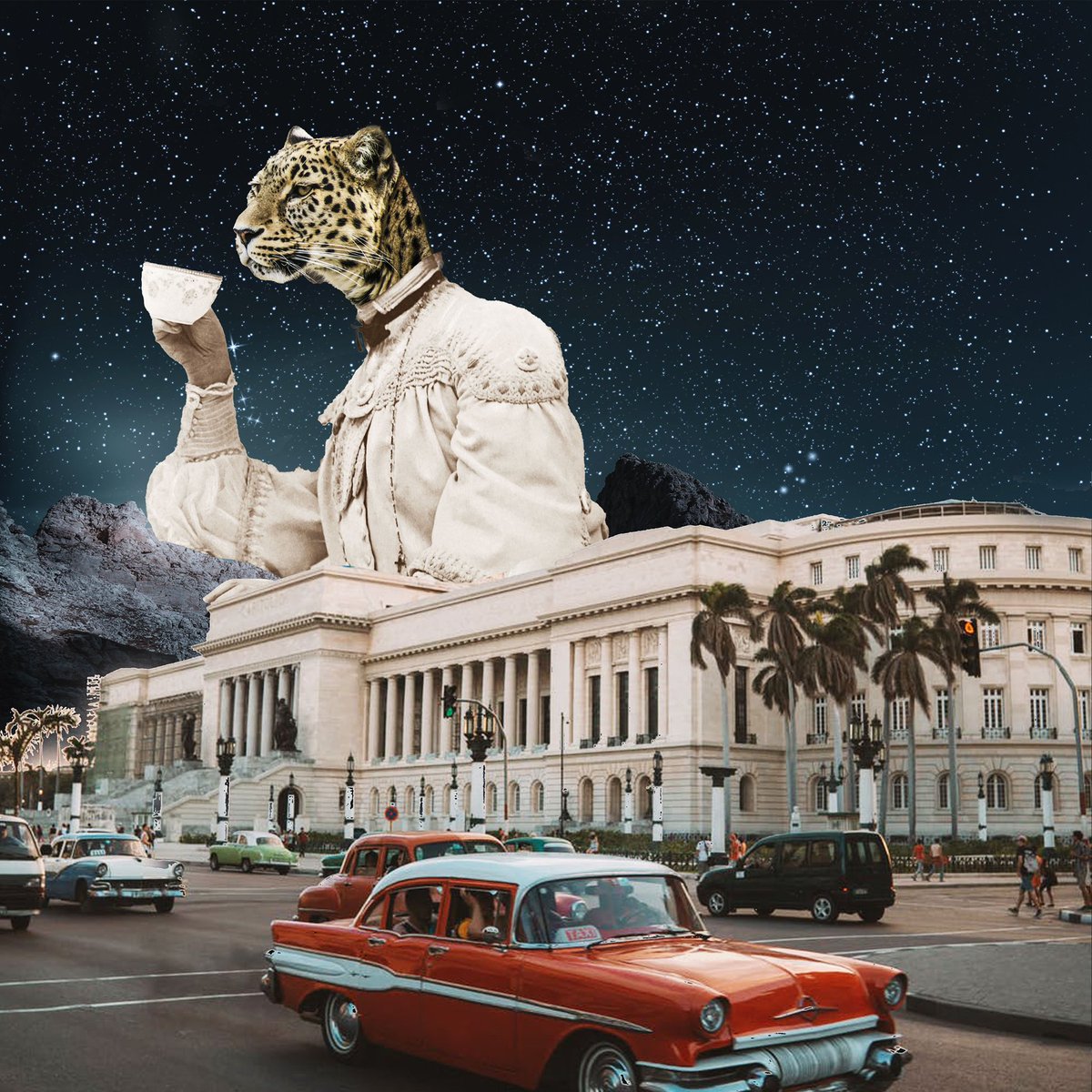 Collagezine20's tweet photo. #februllage is here! A month full of creative collage prompts &amp; imagination💭💭 
: 
Prompt 1 - CAT
: 
Does a wild cat ever drink coffee??
Guess it does in my world☕️☕️ 
: 
#collage #digitalart #digitalcollage #collageartist #art #NFT https://t.co/VFQC59e4rR