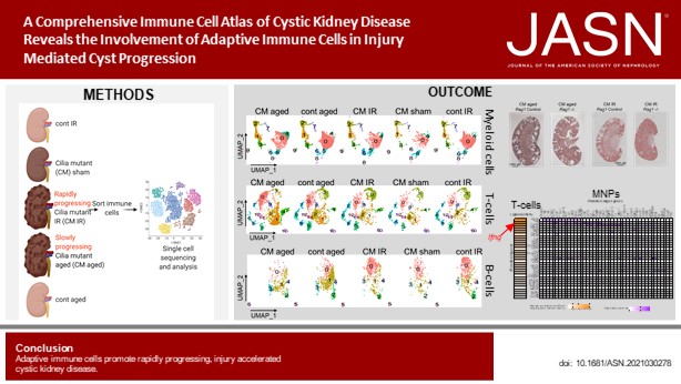 JASN_News tweet media