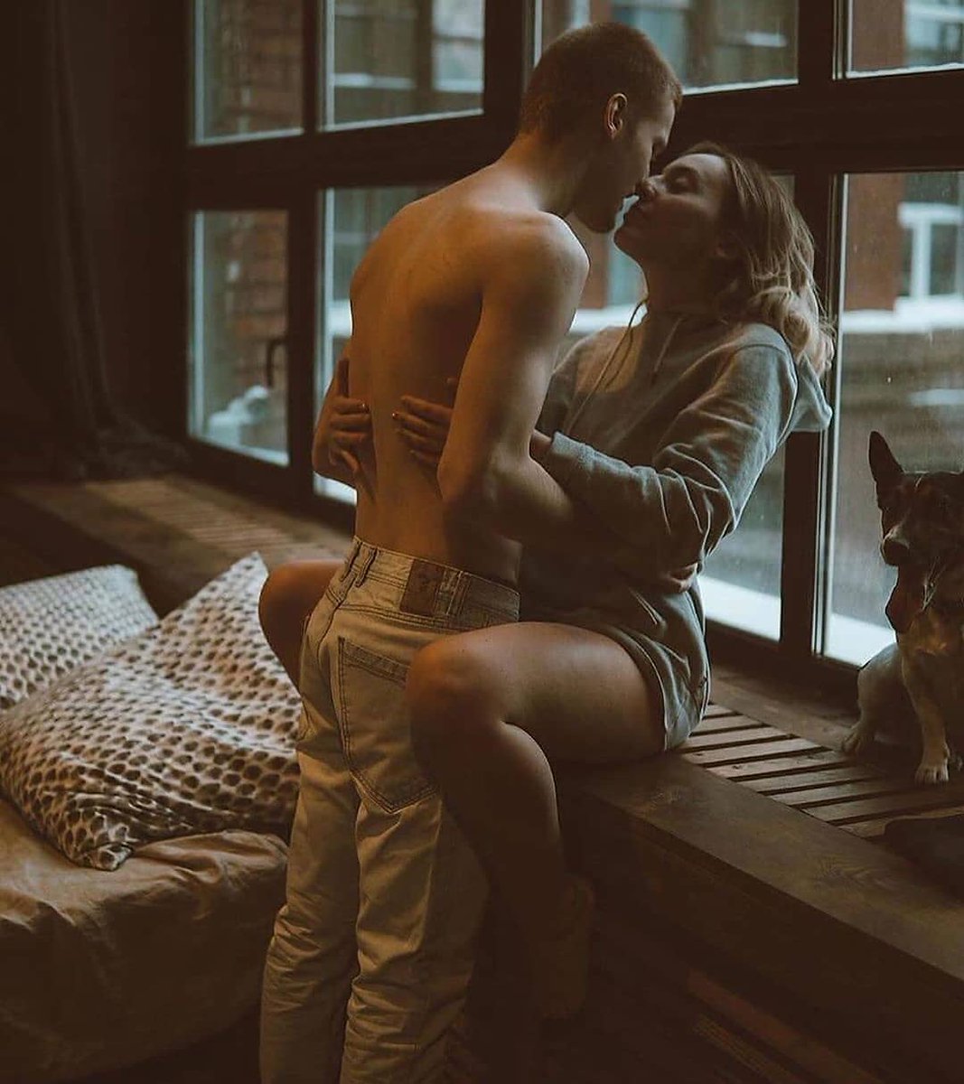 SexFlix (@dailyxsex) on Twitter photo 