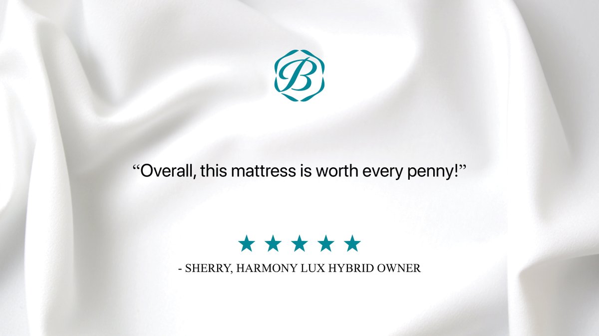 Beautyrest's tweet photo. This review wins! #SleepFirstClass https://t.co/sDvy67CL9s