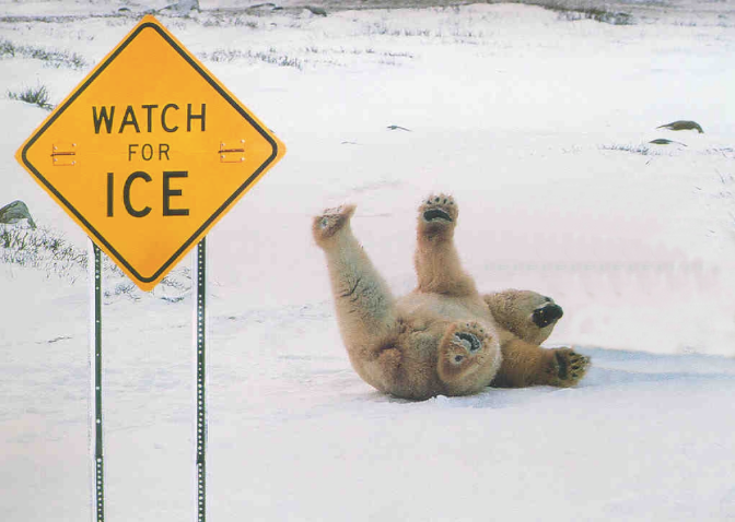 PDBaptist's tweet photo. Services Tonight Dismissed (2-2-22) ...Stay Home...Stay Safe! https://t.co/MfF99Srl3H