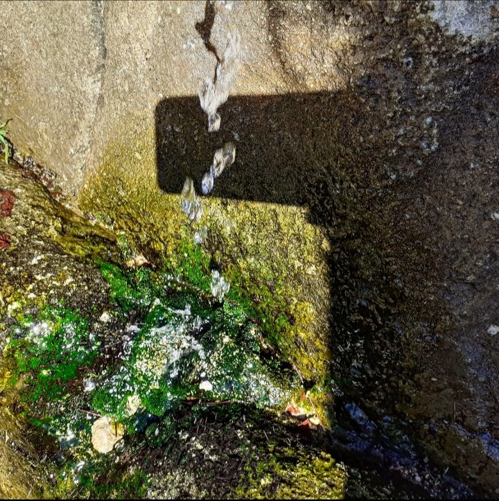 RPerezChaves's tweet photo. from the #lostintarkovsky 2022 series .. https://t.co/epaMYLXLTQ