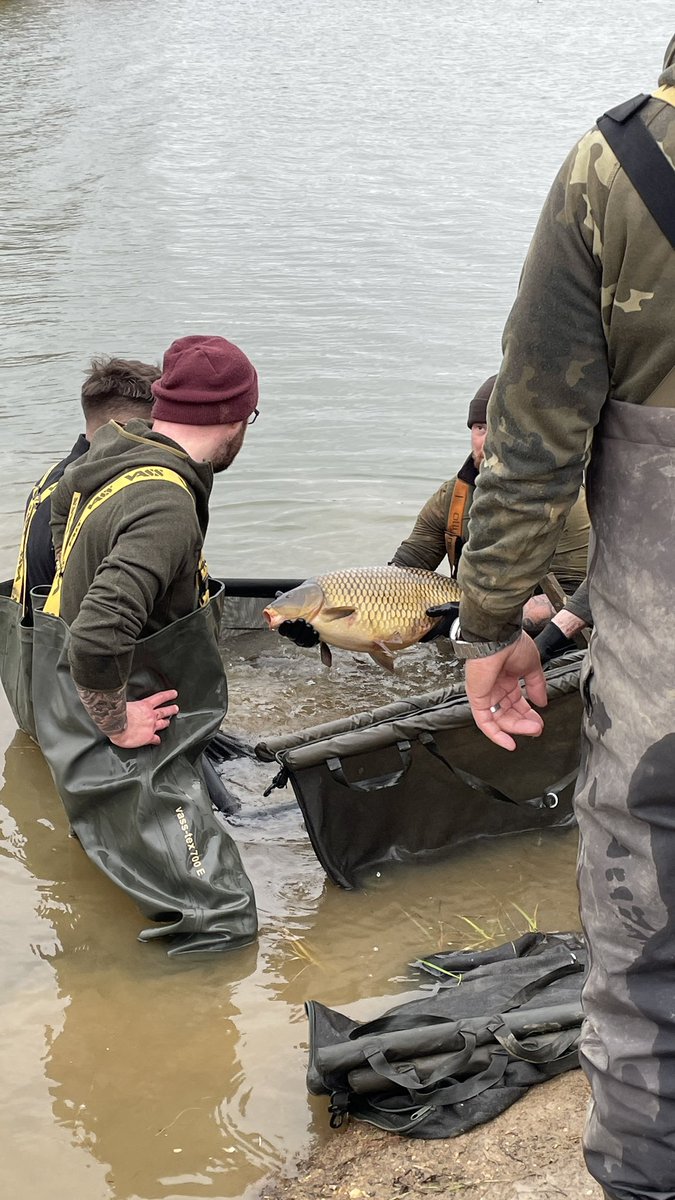 JoeTurnbull69's tweet photo. Well that was a hard days work but great to be involved and see how it’s done. 
#embryoangling https://t.co/9yxBRiMpsA