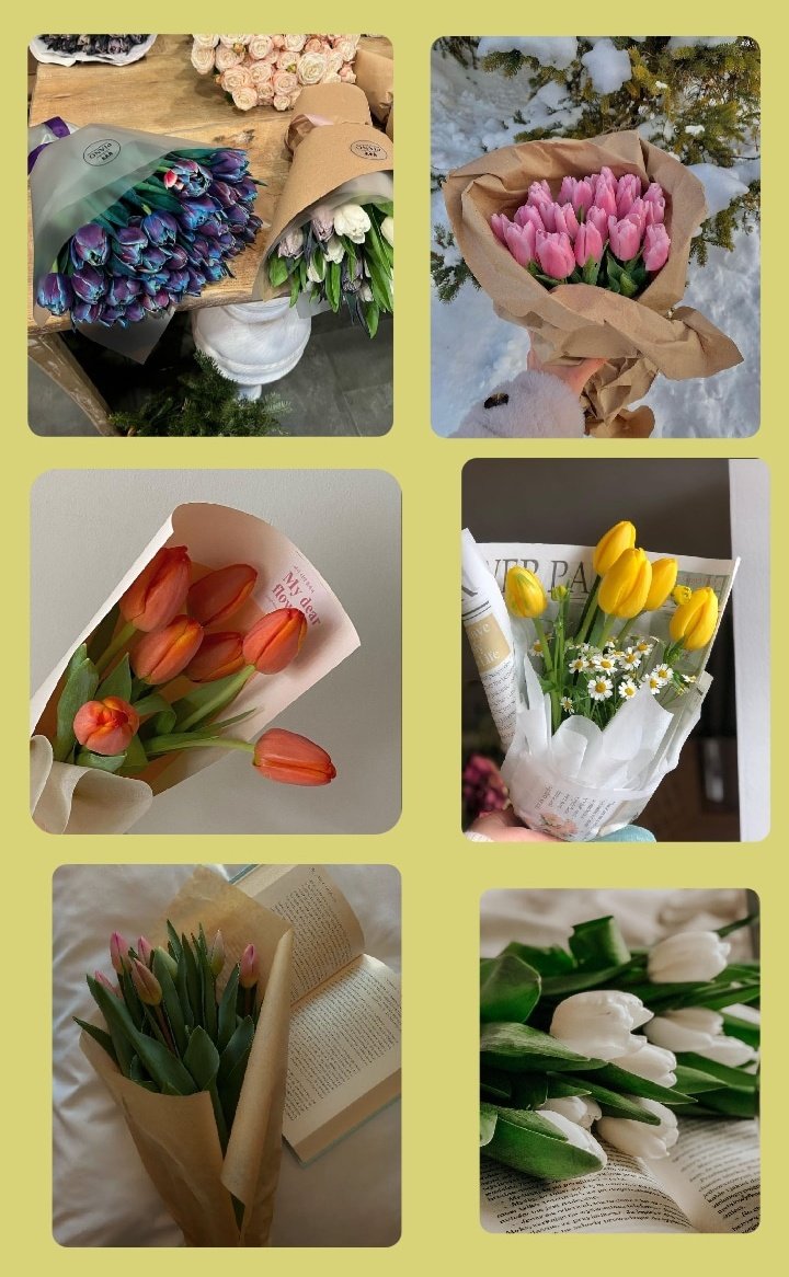 byleilla's tweet photo. Tülpanın hər rənginin gözəl olmasııı https://t.co/aoygzAnoFO