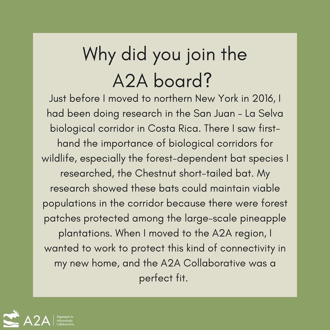 A2ACollab's tweet photo. Meet our board! Every 2nd Wednesday we’ll be spotlighting our awesome board members. This week we’re featuring Kate Cleary. Kate is currently an Assistant Professor of environmental studies at SUNY Potsdam. She joined the A2A board in 2017 and has been our secretary since 2019. https://t.co/NYoxfe4pJA