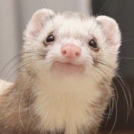 reIihyun's tweet photo. hyunjin of the day https://t.co/MkCAo2JOrY
