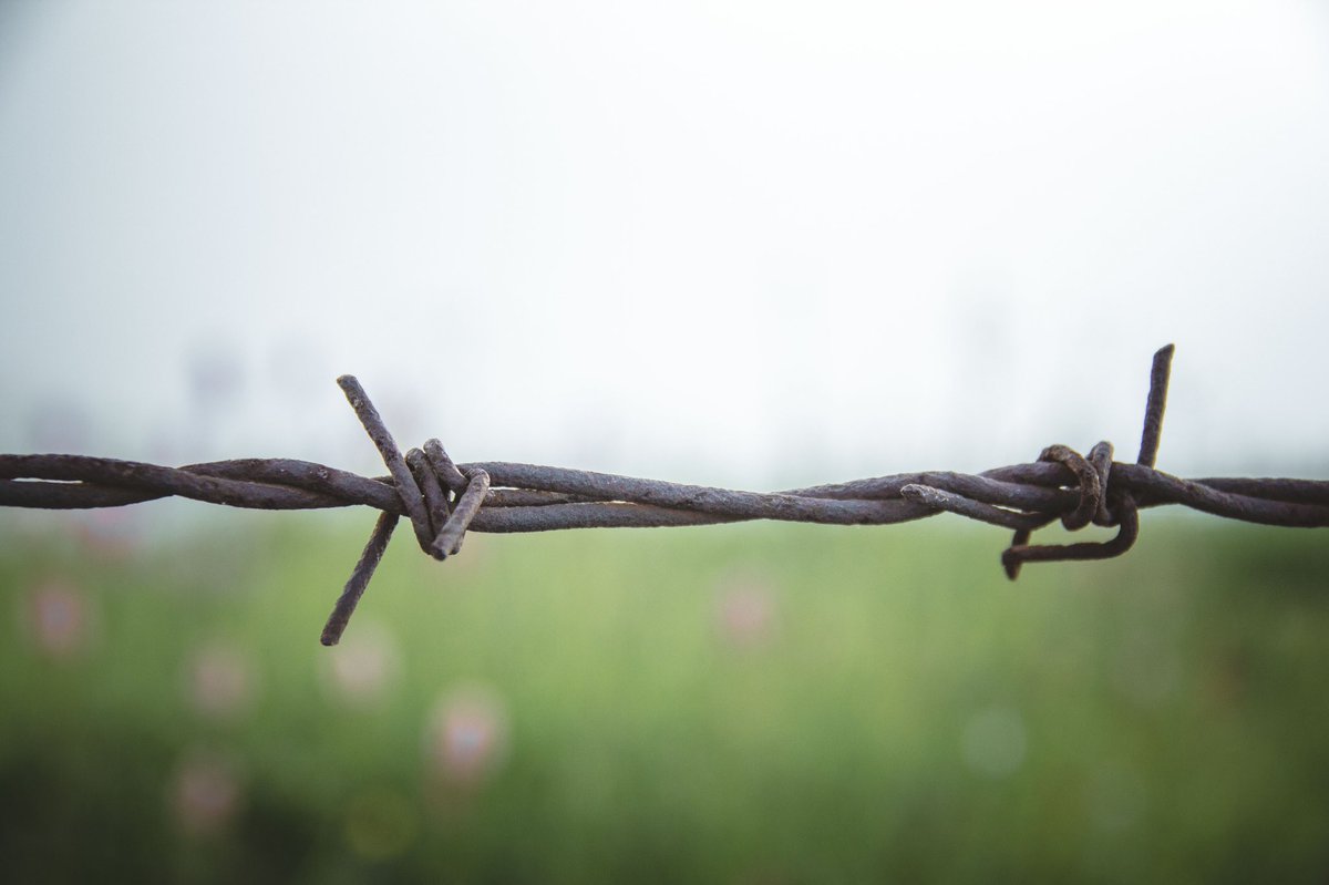 GN with the ones of my minimals #NFT #opensea