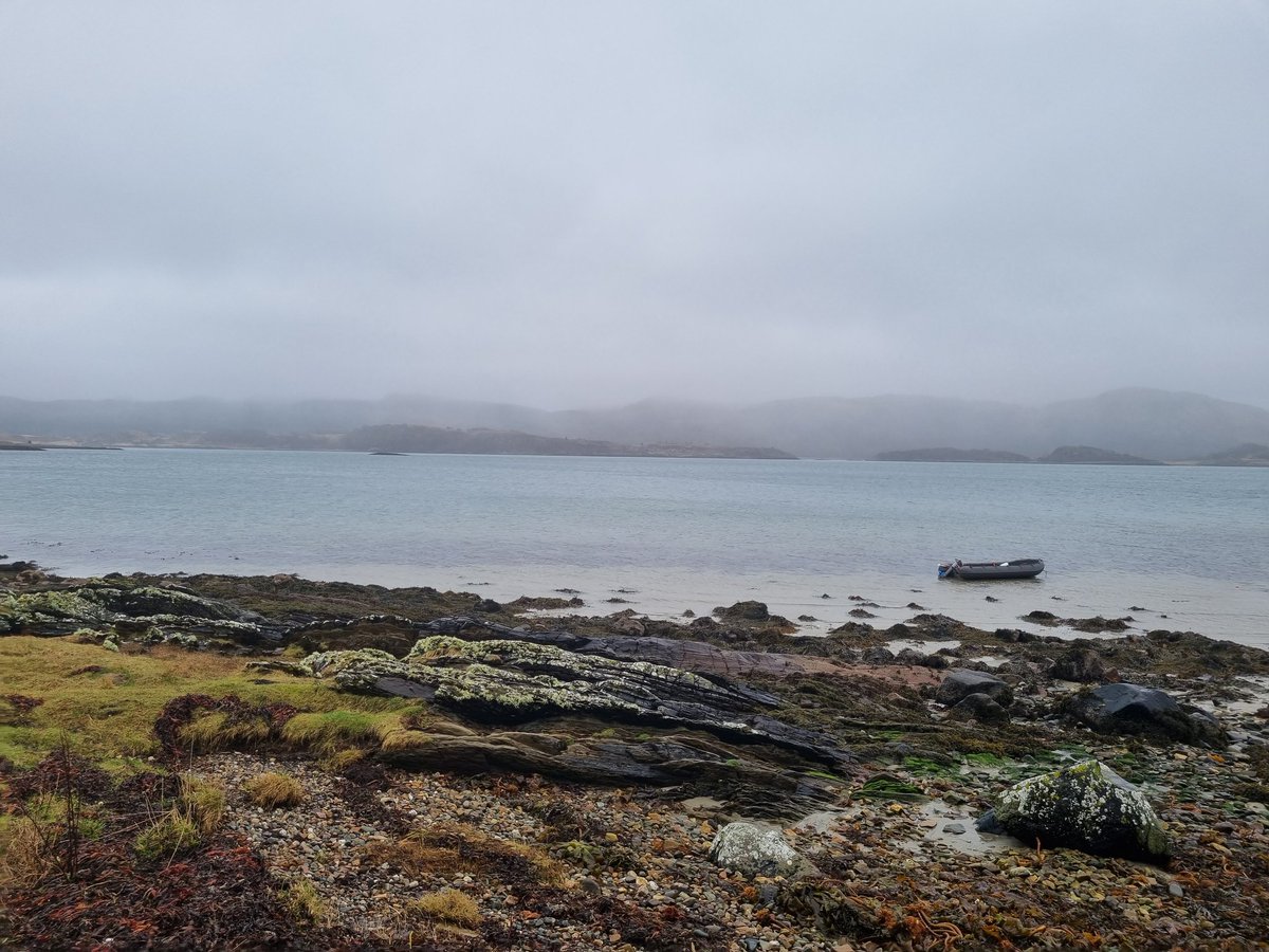 On top of all the amazing work the @seawilding team are doing to restore their patch, they have just supplied us with 20,000 oysters to go onto the reef in Langstone Harbour 🦪 Restoration supporting restoration 🙌 They will go in after biosecurity checks at <a href="/UoPMarineBiol/">UoP Marine Biology</a>