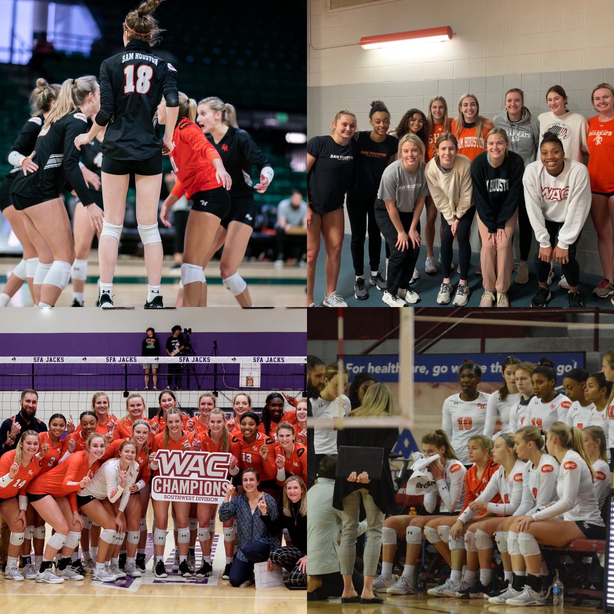 Happy National Girls and Women in Sports Day!  

“Each time a woman stands up for herself, she stands up for all women.”

#NGWSD2022 | #EatEmUpKats
