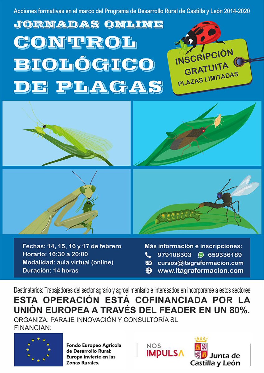 ParajeInnova's tweet photo. ¿Sabes que en @ParajeInnova estamos poniendo en marcha toda una sección de #formación? cuatro cursos sobre control de #plagas, #residuos agroganaderos y #horticultura ecológica urbana. #Online y presencial. Toda la info en https://t.co/e4Bg1FFmbR https://t.co/hI3LTZ0XPZ