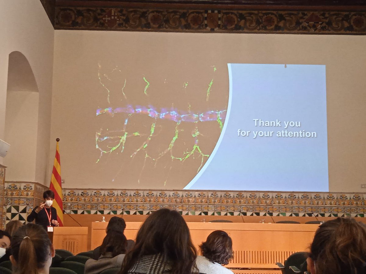 Finally we are back to on-site meeting at #DevBioSCB2022 <a href="/SCB_iec/">Societat Catalana de Biologia</a> with an oral presentation of our PhD student @EttorePhDStud on chitin synthesis. 
We look forward to attend more on-site meetings!