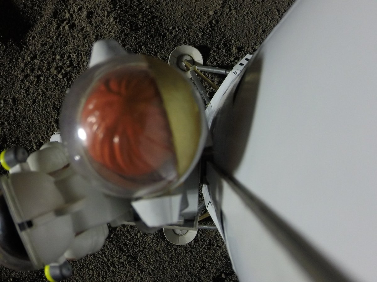 JrAstronautin's tweet photo. @MiniAstro_Luca @MiniAstro_Mats @JrAstroJeanette ... and my friend @JrAstroJeanette from @NASA and myself are on the way down to the surface of the #Moon! What?!? I can't believe this, but ...
#MoonWalk #WomenInSTEM #GirlPower #MoonDotShip #Crew1 #MoonDot π #ForwardTogether #ESA #NASA #STEMed #STEAM #MarsGen https://t.co/ITKJXfEfgQ