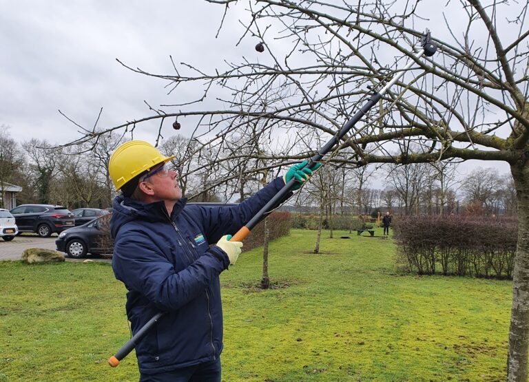 #LBDrenthe organiseert in de periode feb-april 3 cursussen over het snoeien van jonge  hoogstamfruitbomen. Om fruitbomen op de juiste wijze te onderhouden en de groei van fruit te stimuleren, is goede kennis aan te raden. Geïnteresseerd? Meld je nu aan op lbdrenthe.nl