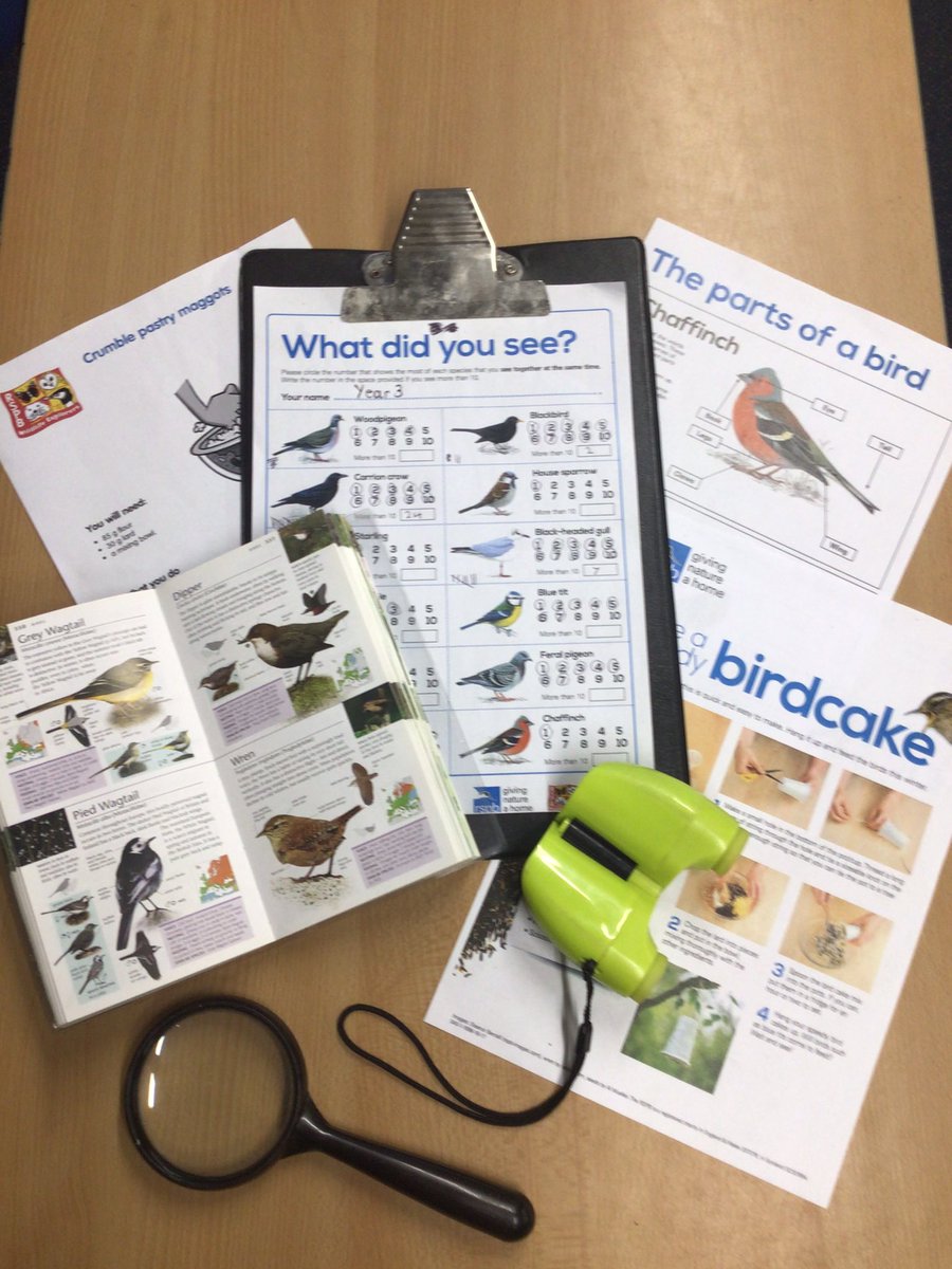 We did our #BigSchoolsBirdwatch , collated our data and now ready to submit our results! Thank you to school council for organising this. @Natures_Voice @RainbowEduMAT @Shoreside1234 @MrPowerREMAT @MissKnipeREMAT