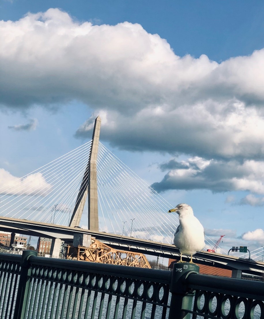 Julian Grünewald tweet media