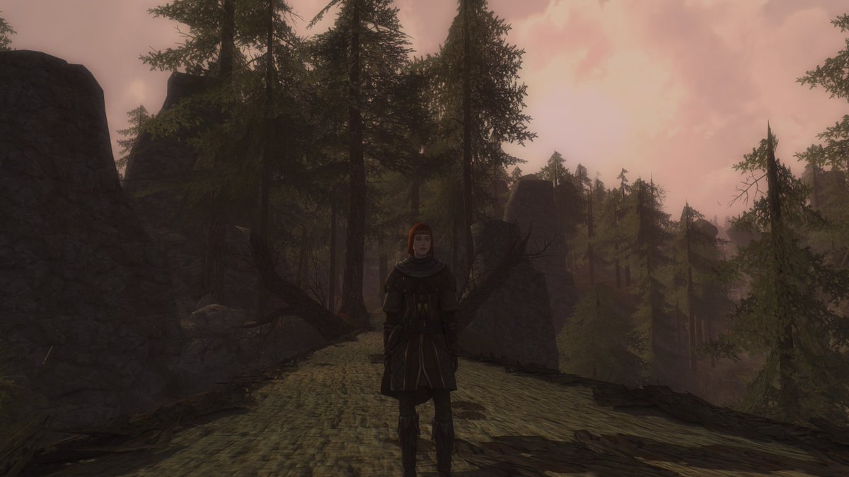 PinkWingedThing's tweet image. If you discount the spiders, the Scuttledells are rather pretty. #lotro #lotrofamily