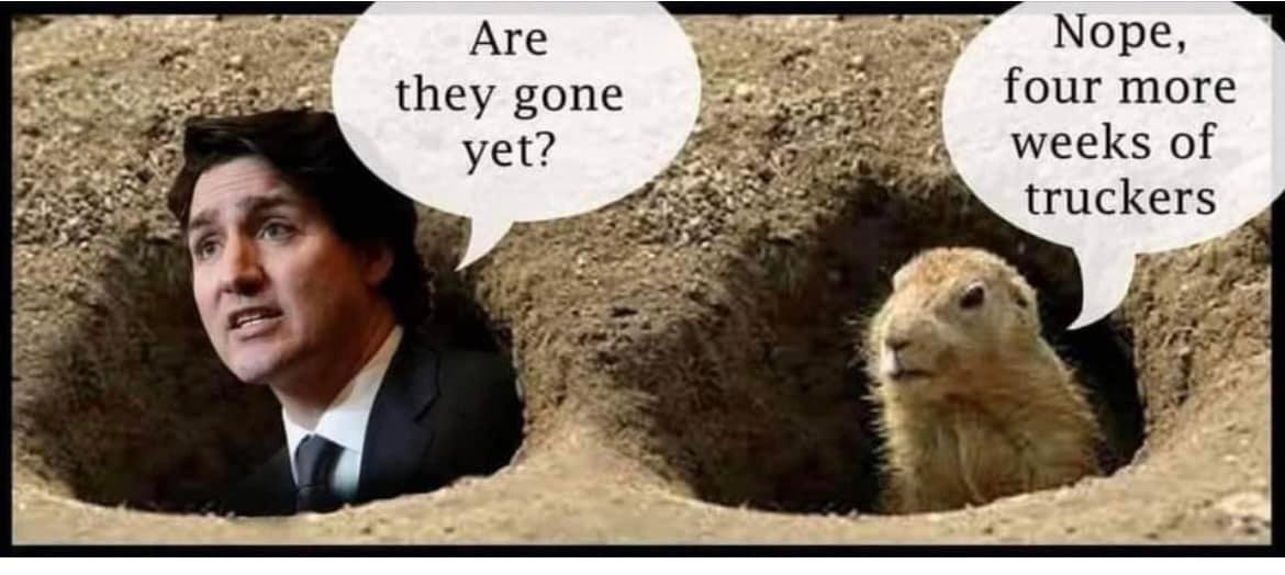 Yet gone. память камень кошка. Rock and stone mem. Tim timebomb bad luck. Present perfect just already yet.