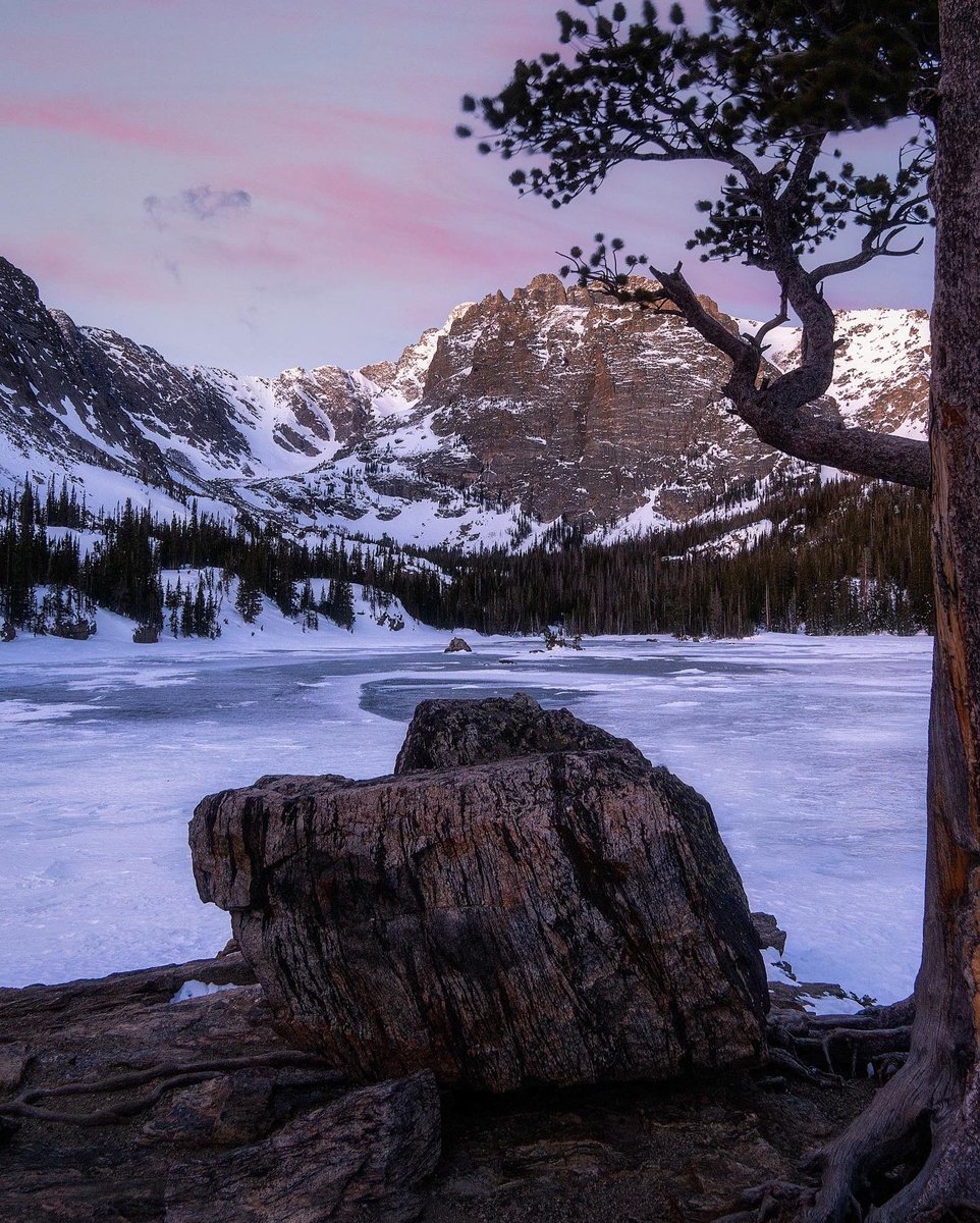 Is Insta dead? Is Twitter the place for photographers now?