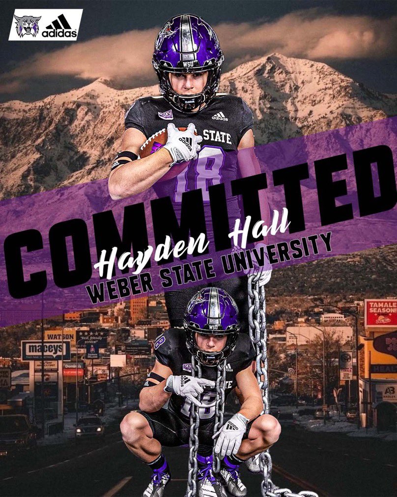 Hayden Hall tweet media