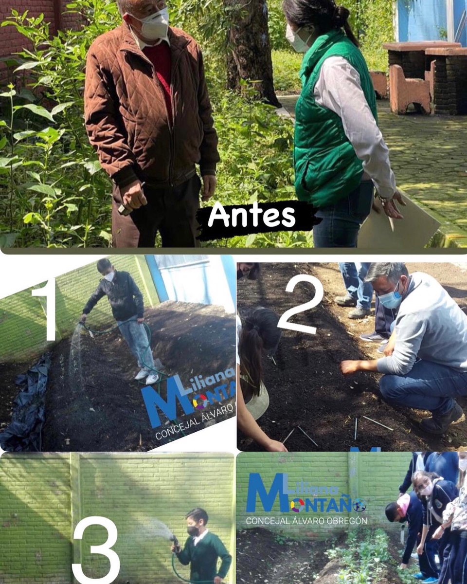 En recorrido en la Col. El Capulín vimos un espacio verde en abandono. 

En conjunto c/<a href="/AlcaldiaAO/">Alcaldía Álvaro Obregón</a>, vecinos, estudiantes, recuperamos este espacio.  

Hoy funciona como Huerto Urbano, ya está germinando y esperando cosecha. 🌿🌱

Trabajamos por un Gobierno Sustentable <a href="/lialimon/">Lía Limón</a>