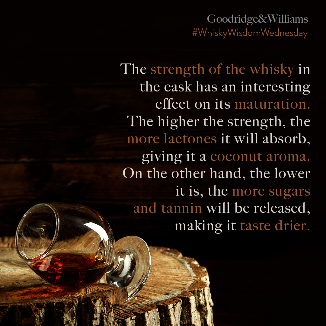 The strength of the whisky in the cask has direct effect on its maturation process. Higher strengths have more lactone absorption and lower strengths release more sugar – both which impact the taste.