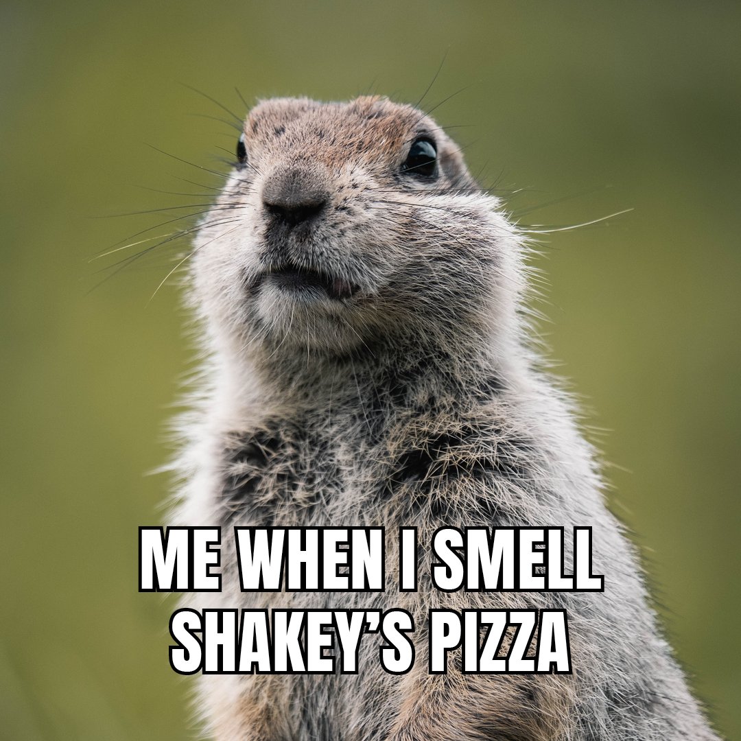 ShakeysUSA's tweet photo. The question is – will you eat pizza with the fam in the dining room or take a couple slices and retreat back into your bedroom? 🤔😂 #HappyGroundhogDay

#GroundhogDay #GroundhogDaymeme #Groundhogmeme #foodmeme #foodmemes #lafoodblogger #lafoodblog #bestfoodla #shakeyspizza https://t.co/HiNlMKwYbZ