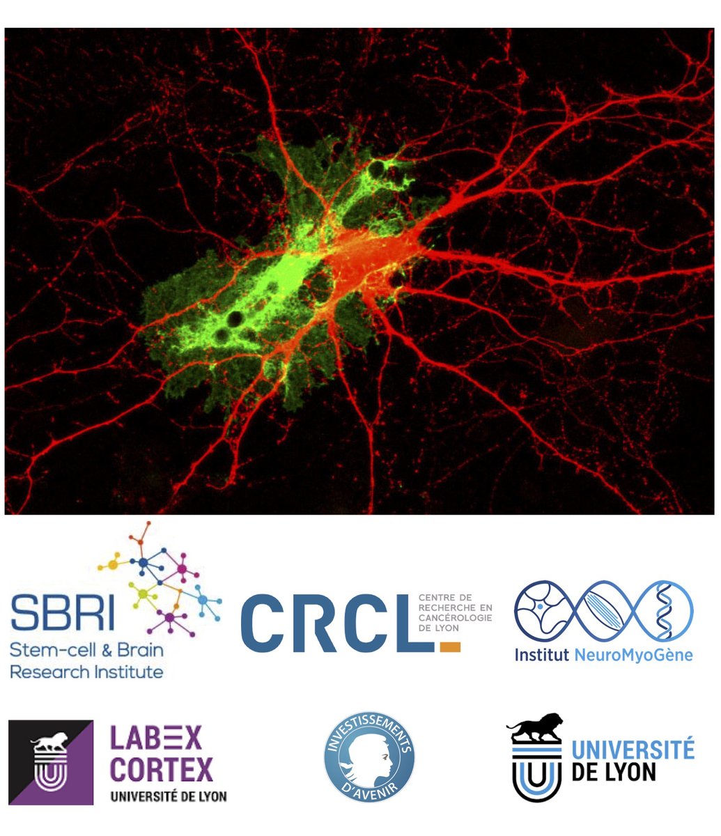 Christophe Heinrich tweet media