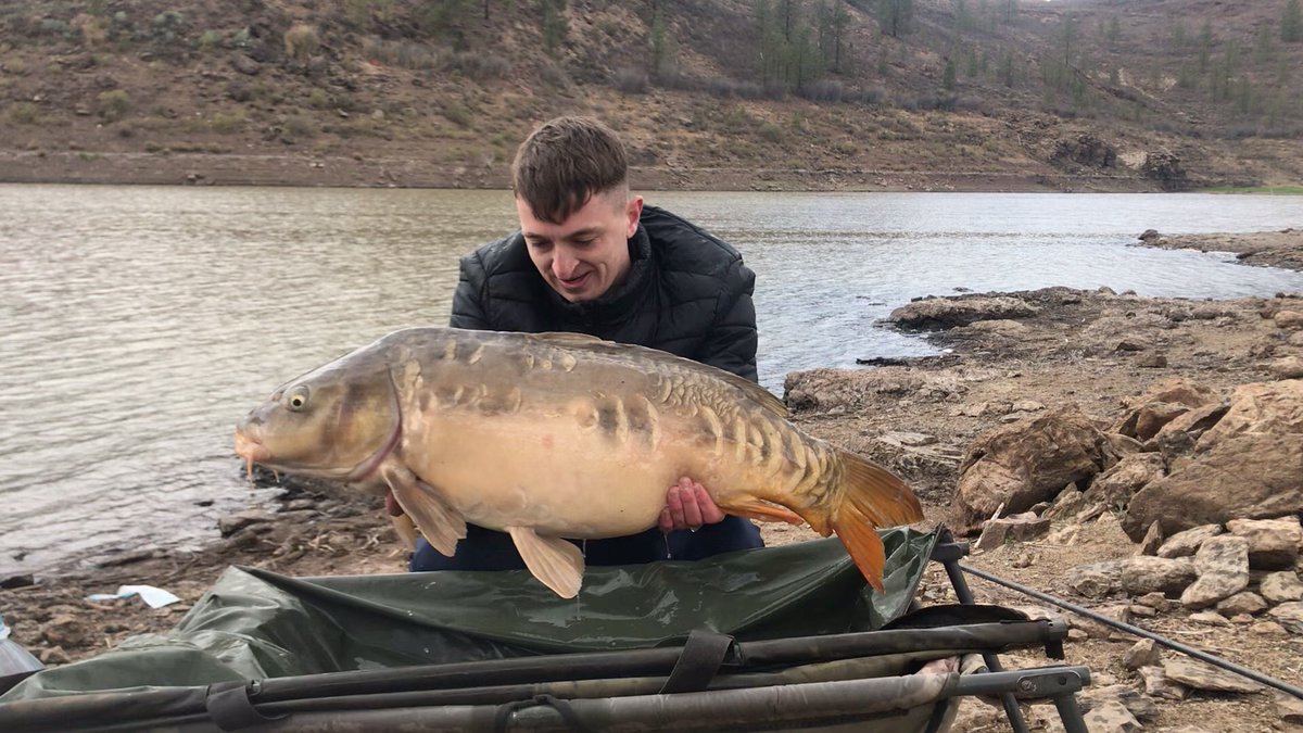canarycarpfish's tweet photo. A beautiful 30lb Chira specimen for our Dutch day trip client😀 #carpgrancanaria #karpfen #carpfishing #excursion #daytrip #officialnashtackle https://t.co/VsPUPJ01u0