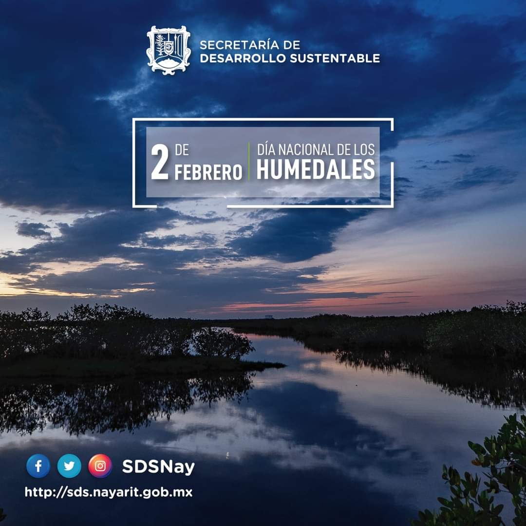 Los humedales están llenos de vida, su biodiversidad es muy importante para el desarrollo humano.

#HumedalesVidaBiodiversidad