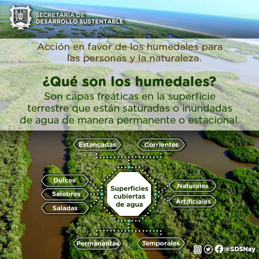 Los humedales favorecen la preservación de las especies.

#HumedalesVidaBiodiversidad