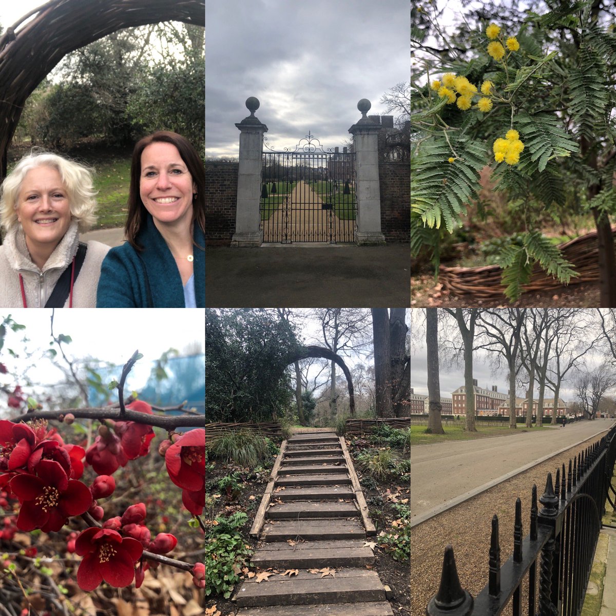 Chuffed to be back at Chelsea! 
We’ve been invited by the RHS for the 2nd year in a row to design and implement the show ground planting 
Today’s site visit has got the creative juices flowing again and we can’t wait to get stuck back in #bringiton