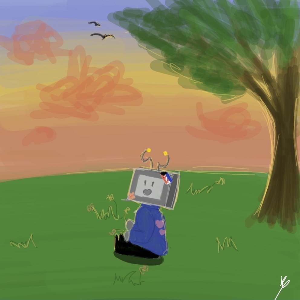 •illusionn° tweet media