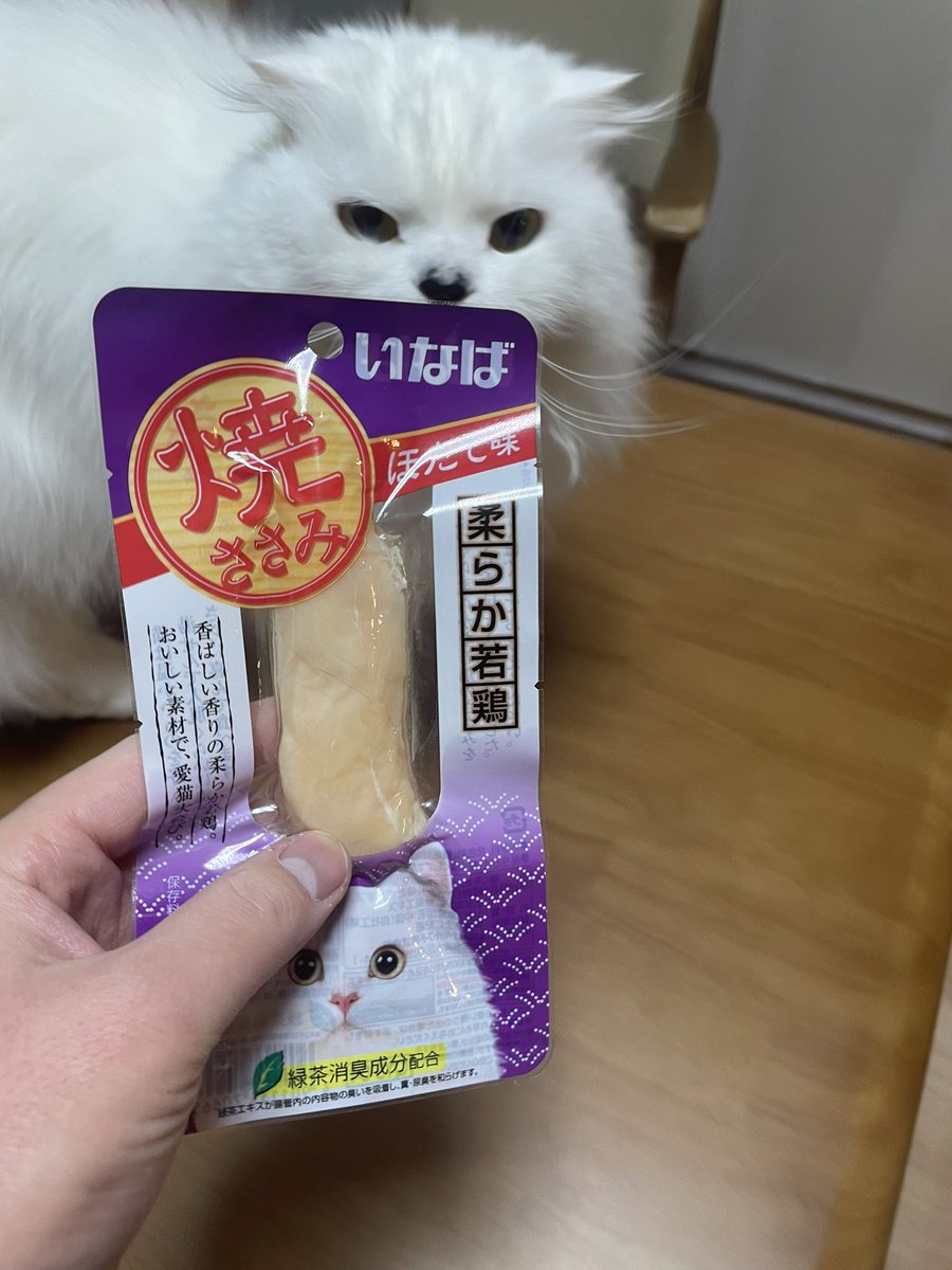 popocha67287175's tweet photo. 1.27はぽぽちゃんの3歳の誕生日でした💓🥺
誕生日プレゼントはいなばの焼きささみをチョイス！

1枚目　なんか持ってきましたね？
2枚目　なんですかこれ
3枚目　早く、早くちょうだい！！

とても元気に育ちました！☺️💓 https://t.co/aAJKLx73h0