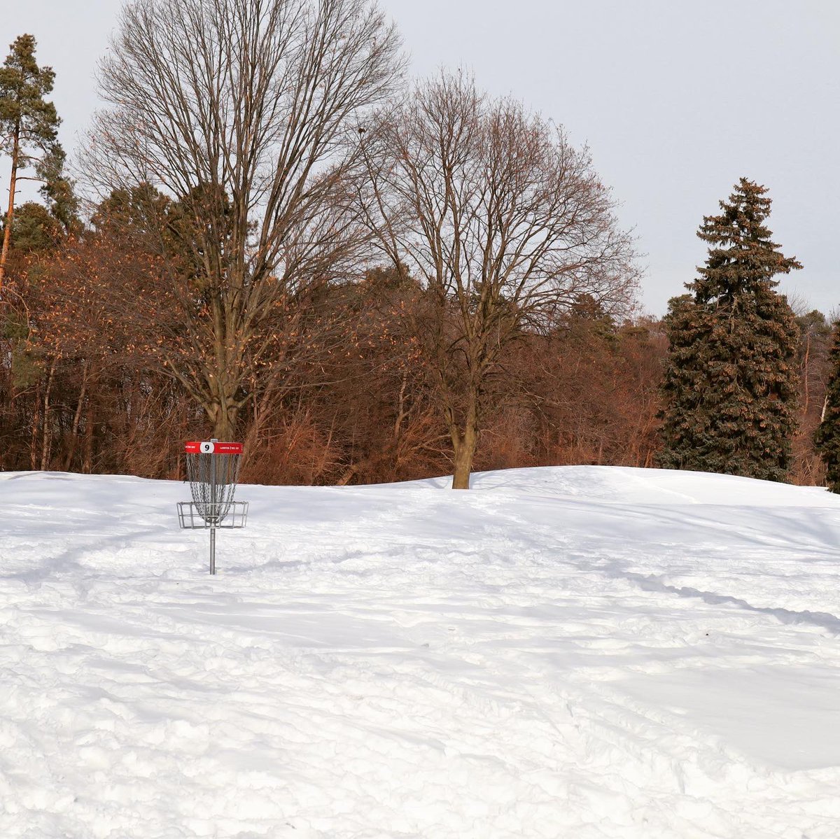 Lambton Golf & Country Club tweet media