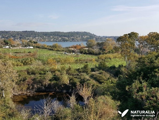 NaturaliaEnv's tweet photo. Journée mondiale des #zoneshumides ! Ces milieux naturels constituent des réservoirs de #biodiversité que nos équipes ont à cœur de préserver !
Ici des photos d'un projet de compensation et de restauration de mares pour les équipes de notre pôle zones humides ! 💧 https://t.co/gio2tTfx5X