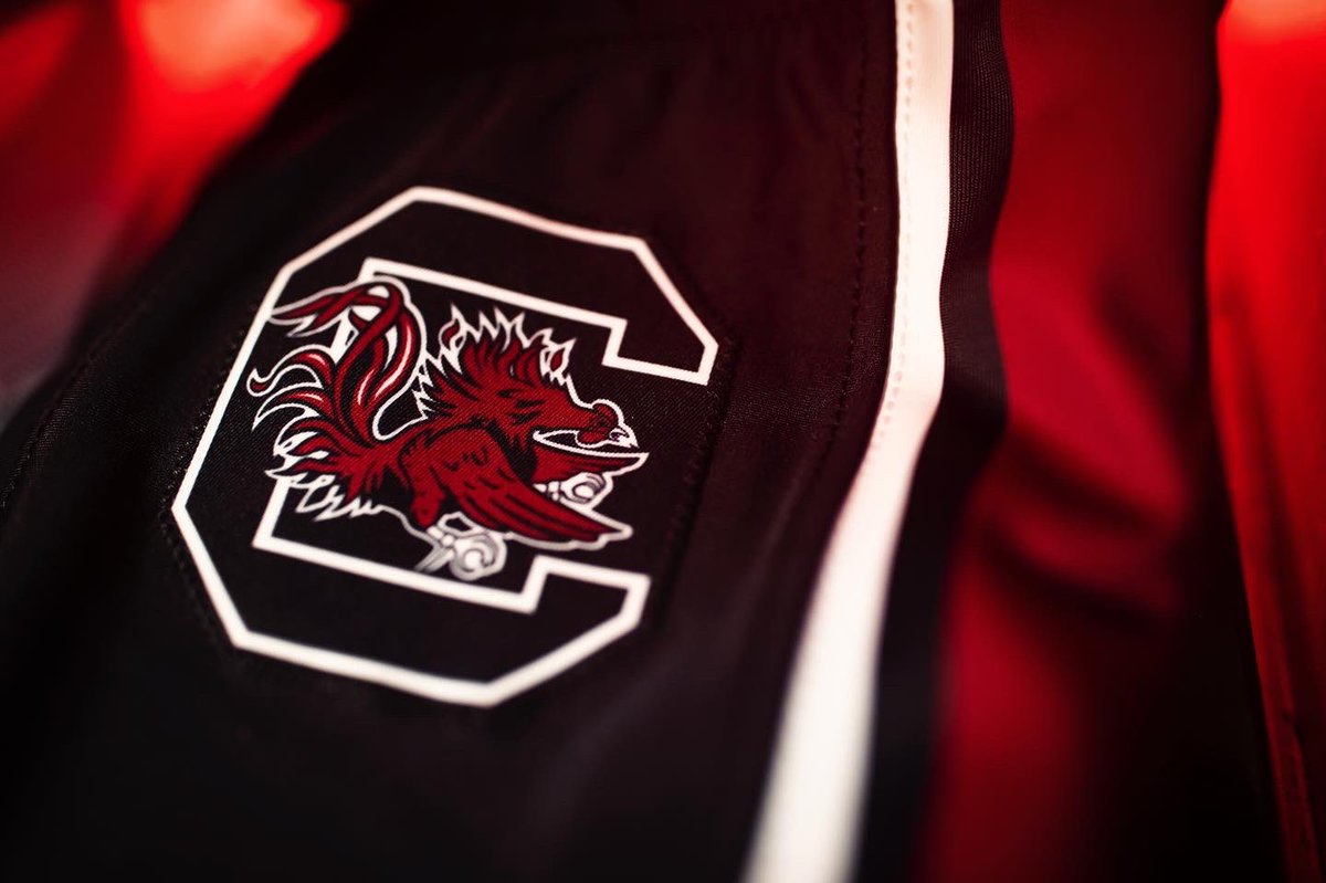 NEW OFFER! 2024 OLB/SS/WR <a href="/wendellgregory3/">Wendell Gregory</a> (6' 3" 205) thankful <a href="/GamecockFB/">South Carolina Football</a> offered! #SpursUP #SEC

hudl.com/profile/146435…