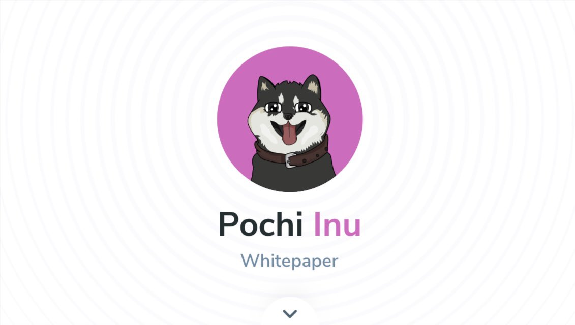 PochiInu_io's tweet photo. Here is the $POCHI #whitepaper. It’s also available on our website https://t.co/WnYjXdcsIc LETS GOOOO 🚀🚀🚀

$POCHI #PochiInu #Inuyasha #Metaverse #NFT #NFTcommunity #AltCoin #AltCoinGem #Crypto #Ethereum #ERC20 #100x https://t.co/whqBIj34UV