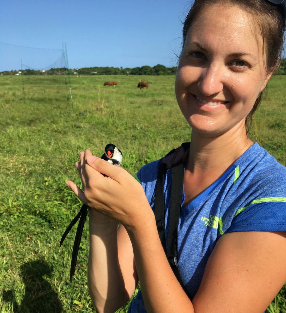 AmOrnith's tweet photo. Congratulations to the 2021 @AmOrnith Marion Jenkinson Service Award winner, Sara Kaiser, for her extensive service and dedication to AOS. Read our latest 2021 award winner profile on Wing Beat! https://t.co/8SLvGpnkHf https://t.co/kEidcSzStX