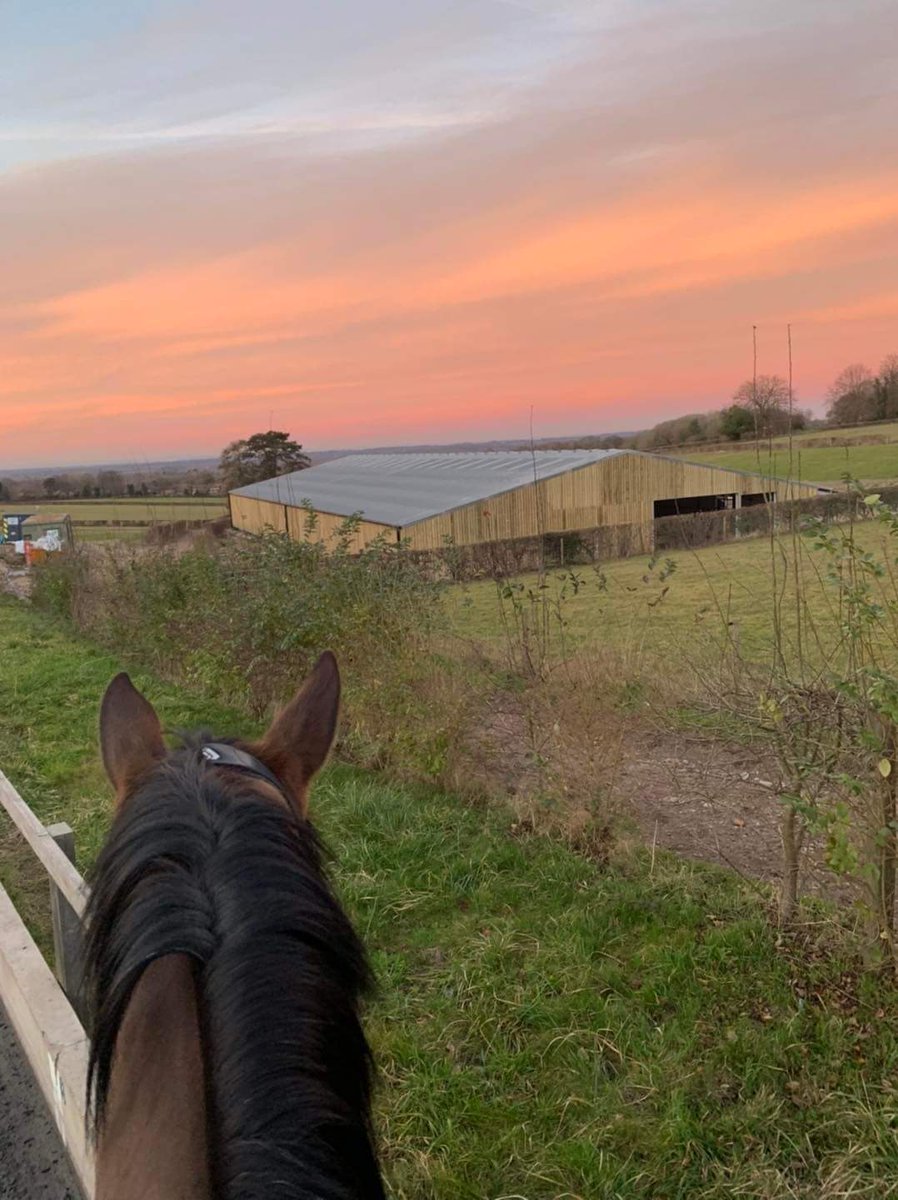 Horsley, Bookham & Leatherhead RDA tweet media