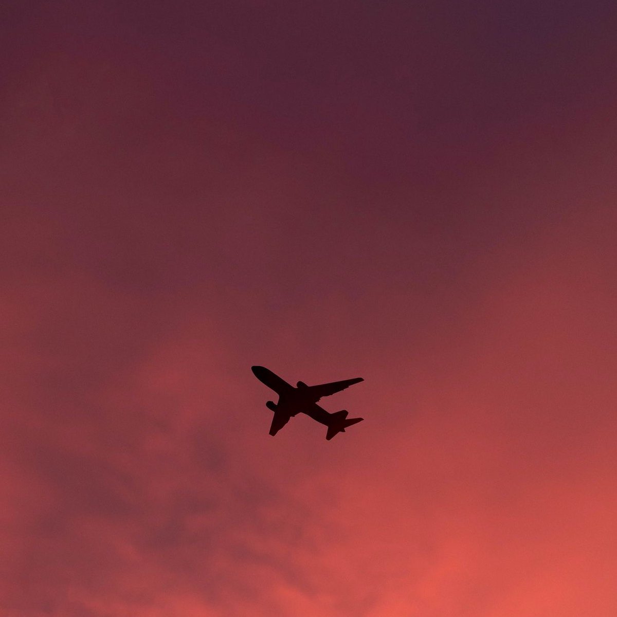 CausticFruit tweet media